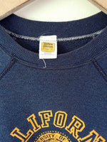 Lade das Bild in den Galerie-Viewer, RARE Sweater 70s Berkeley University (M-L)
