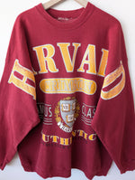 Lade das Bild in den Galerie-Viewer, RARE Harvard Sweater University Siebdruck (XL-XXL)
