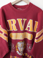 Lade das Bild in den Galerie-Viewer, RARE Harvard Sweater University Siebdruck (XL-XXL)
