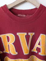 Lade das Bild in den Galerie-Viewer, RARE Harvard Sweater University Siebdruck (XL-XXL)
