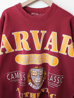 Lade das Bild in den Galerie-Viewer, RARE Harvard Sweater University Siebdruck (XL-XXL)
