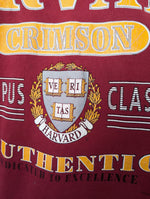 Lade das Bild in den Galerie-Viewer, RARE Harvard Sweater University Siebdruck (XL-XXL)
