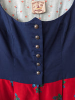 Lade das Bild in den Galerie-Viewer, Dirndl Folklore Kleid Allgäu Blumen Print (L-XL)
