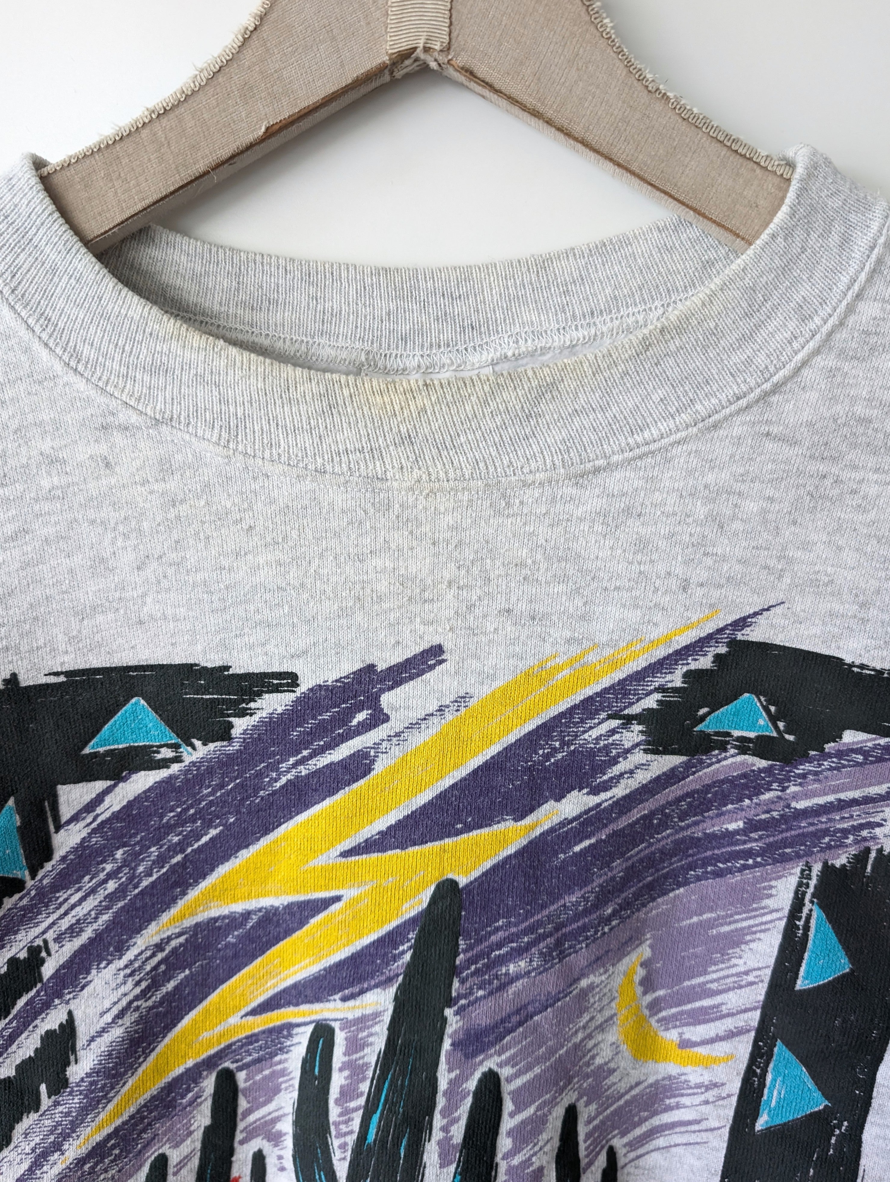 Sweater 80s Kaktus Siebdruck USA (XL)