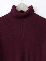 Lade das Bild in den Galerie-Viewer, *Seide* Rollkragen Longsleeve Ripped Weinrot (L-XL)
